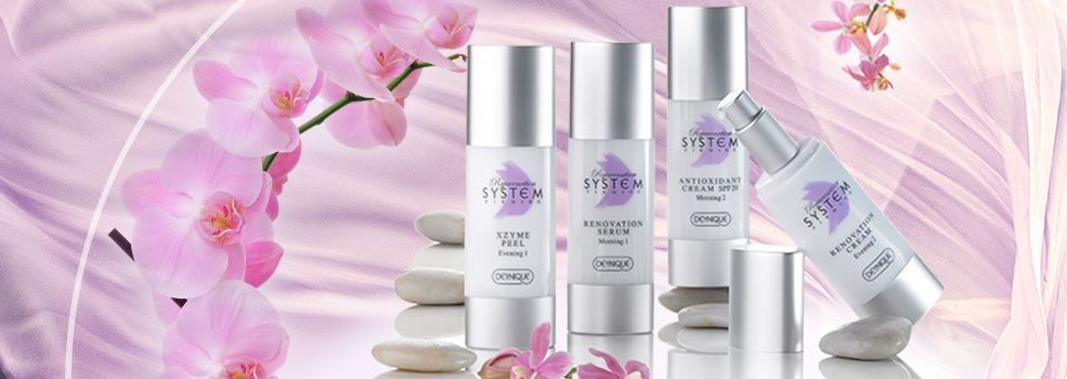 Eine weiche und erfrischte Haut mit straffer und glatter Struktur